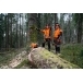 STIHL MS 400 C-M