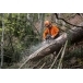 STIHL MS 462 C-M