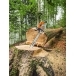 STIHL MS 881