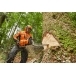 STIHL MS 881