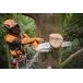 STIHL MSA 220 TC-O