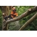 STIHL MSA 220 TC-O