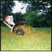STIHL RL-MM