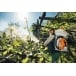 STIHL SR 450