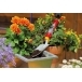 WOLF GARTEN 5cm Planting Trowel with Fixed Handle
