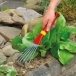 WOLF GARTEN LD2K Small Sweep
