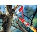 WOLF GARTEN Multi-Change® RCM  Anvil Tree Lopper