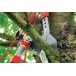 WOLF GARTEN Multi-Change® RCVM Adjustable Anvil Tree Lopper