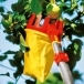 WOLF GARTEN Multi-Change® RGM Adjustable Fruit Picker