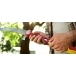 WOLF GARTEN PC370MS Multi-Change® Tree Care Pruning Saw