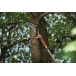 WOLF GARTEN PC370MSPRO Multi-Change® Tree Care Professional Pruning Saw