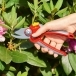 WOLF GARTEN RR4000 Bypass Secateurs