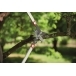 WOLF GARTEN RS800V POWER Cut Vario Lopper
