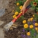 WOLF GARTEN Tools with Handle