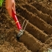 WOLF GARTEN Tools with Handle