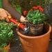 WOLF GARTEN Tools with Handle