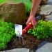 WOLF GARTEN Tools with Handle