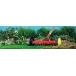 WOLF GARTEN URM3 Multi-Change® Roller Moss Removal Rake